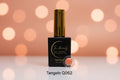 Gel Polish- Hema & TPO Free